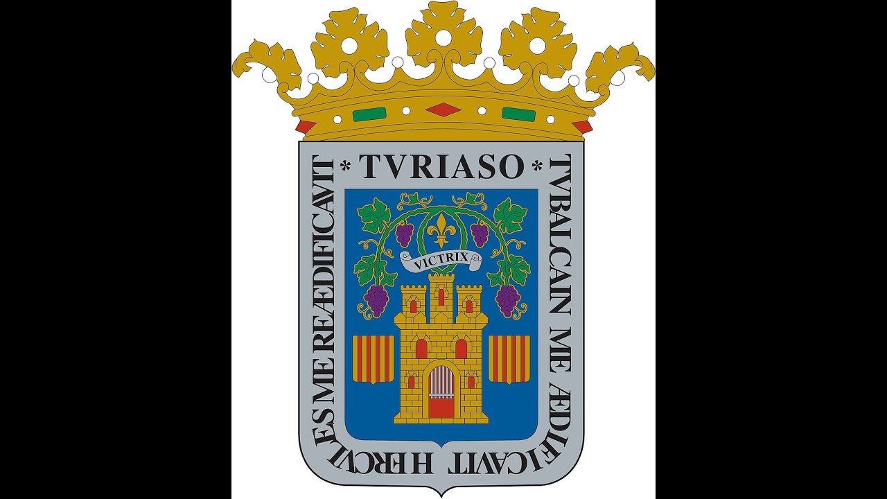 Pleno Ordinario de 29 de enero de 2025