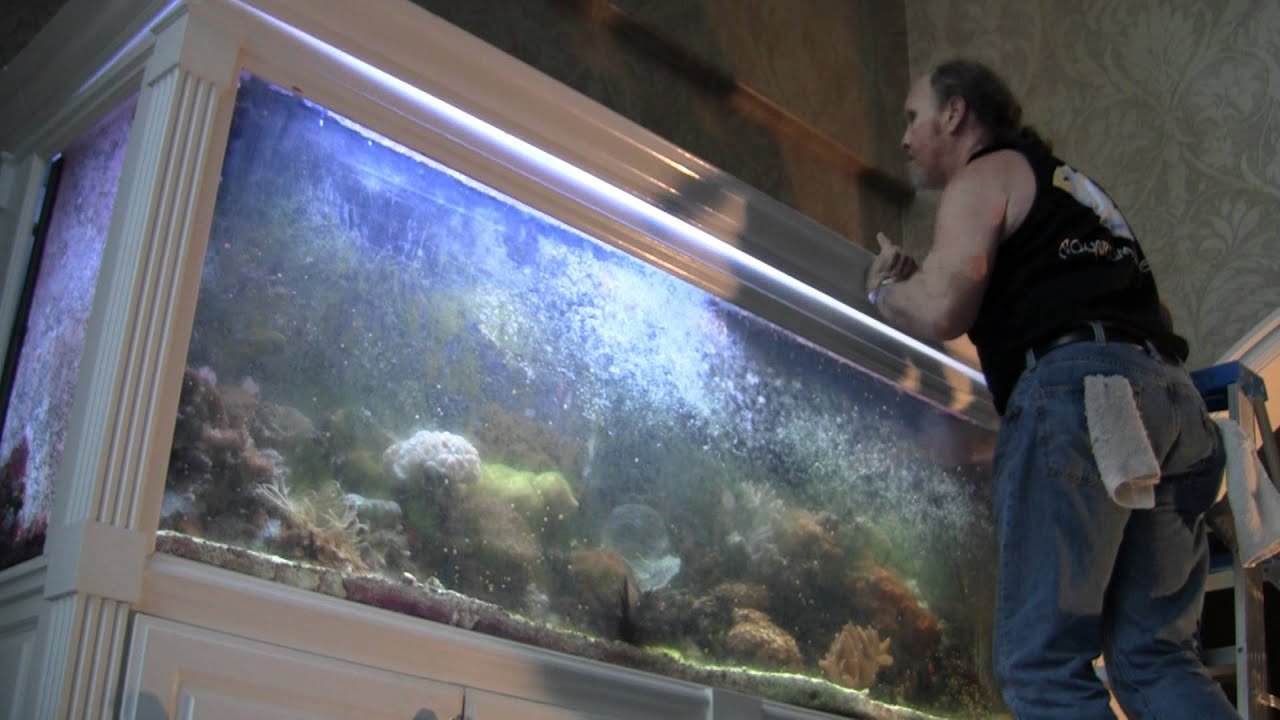 Breaking Down a 300 gallon Reef Tank, LA Fishguys, Episode 109 pt 1