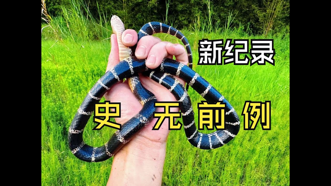 破纪录了，本人捕鱼多年从未遇到这种情况，离谱！