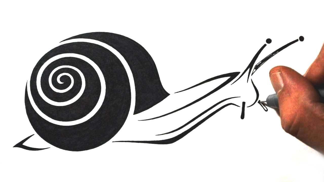 How to Draw a Snail - Tribal Tattoo Design Style