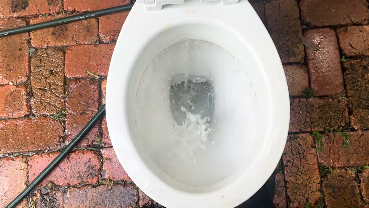 A new toilet for my collection