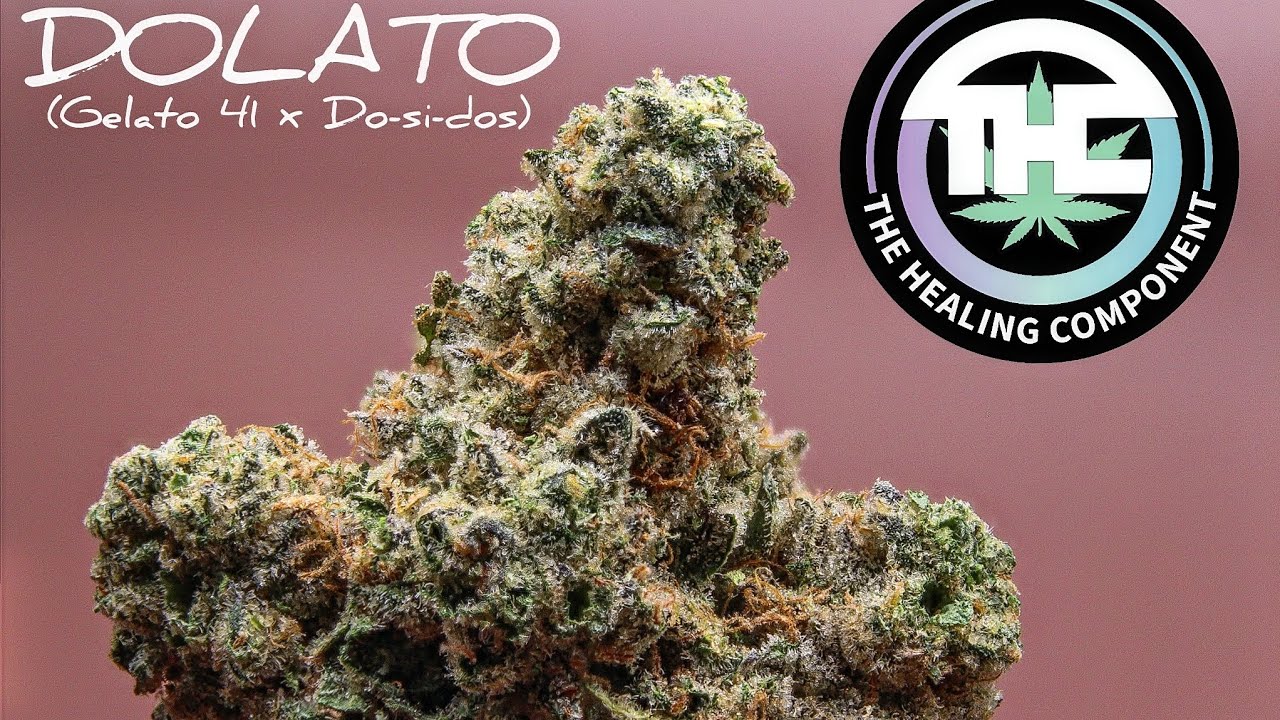 Strain Tasters Cannabis Reviews - Dolato