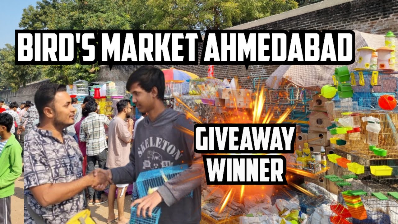 BIRD'S MARKET AHMEDABAD || SUNDAY BIRD'S MARKET AHMEDABAD GUJARAT || 5 January 2025