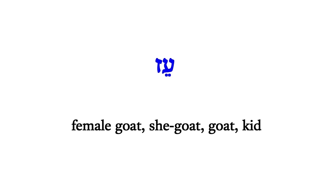 H5795 עֵז