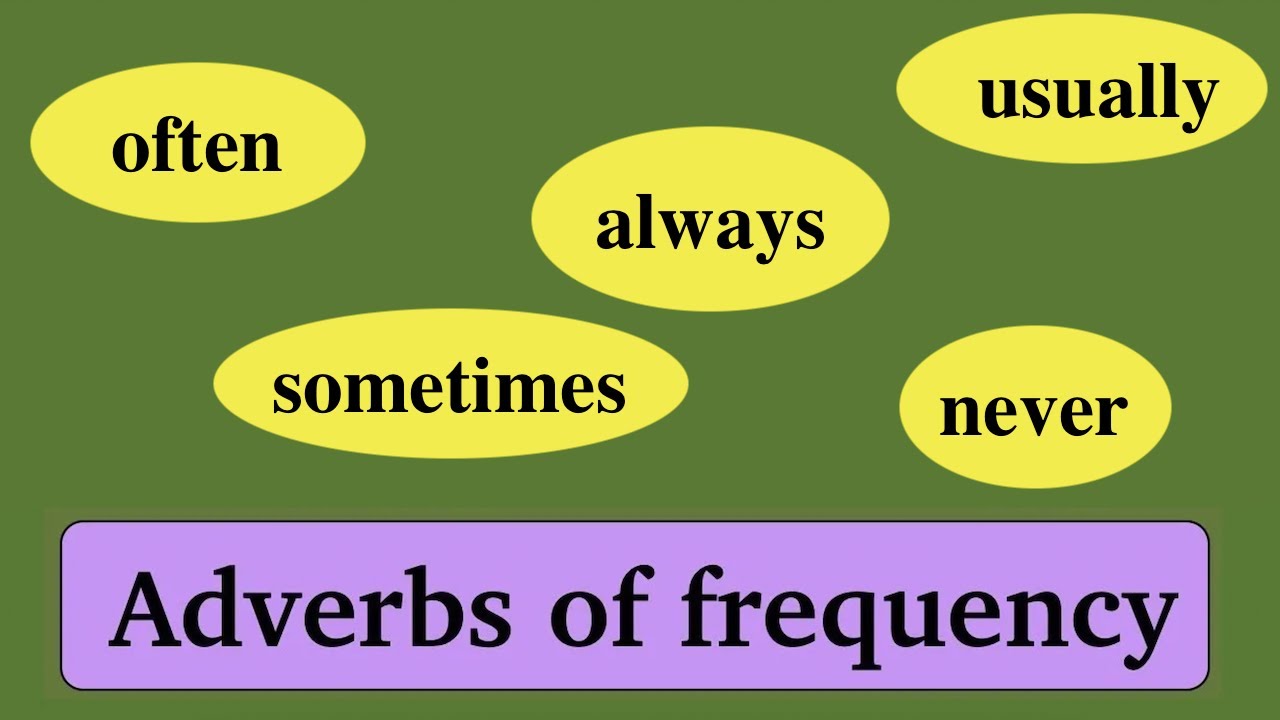 Adverbs of frequency.  Наречия частоты в английском языке.