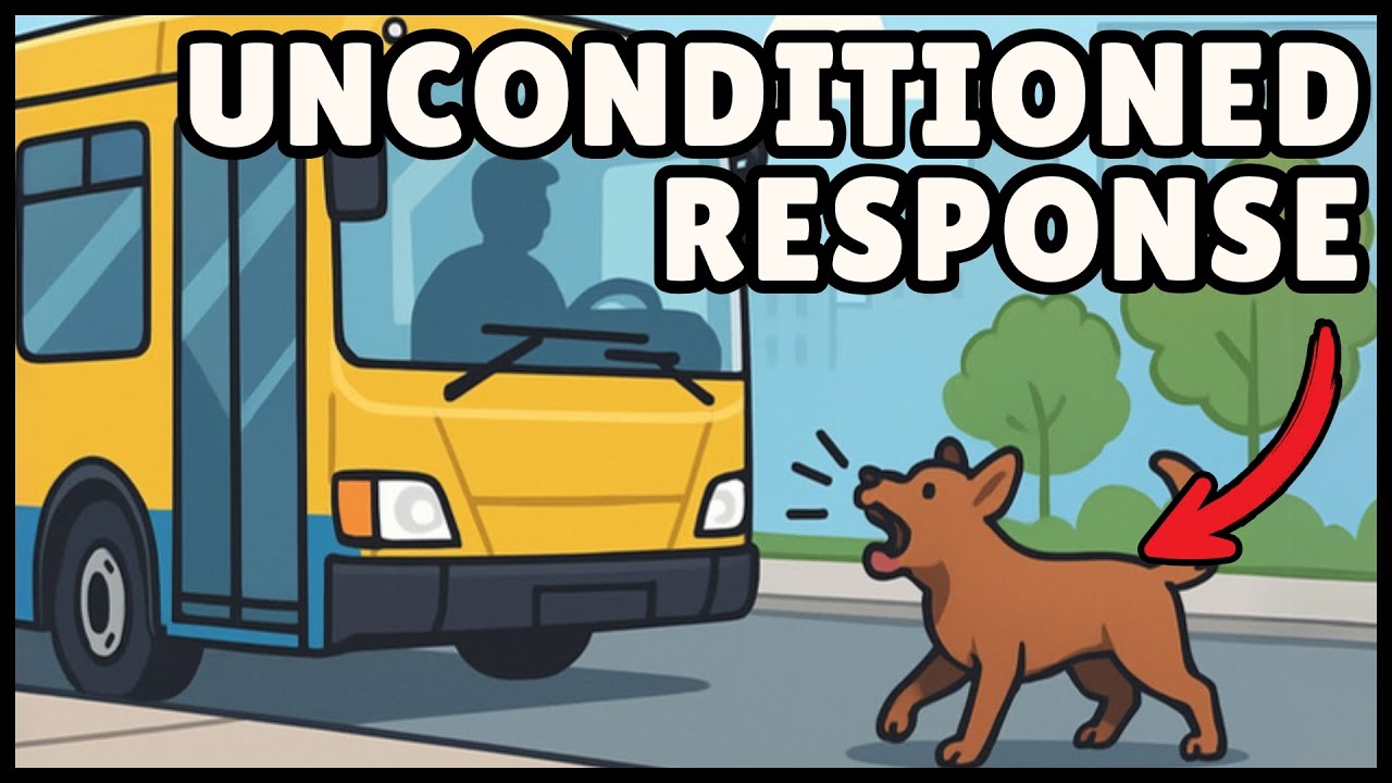 What is an Unconditioned Response? (Easiest Explanation)