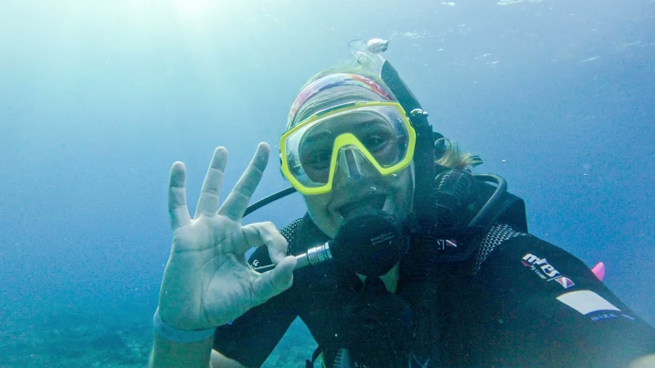 Cozumel Diving 2026