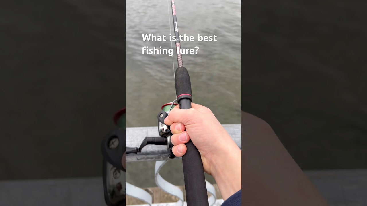 What’s the best fishing lure? 