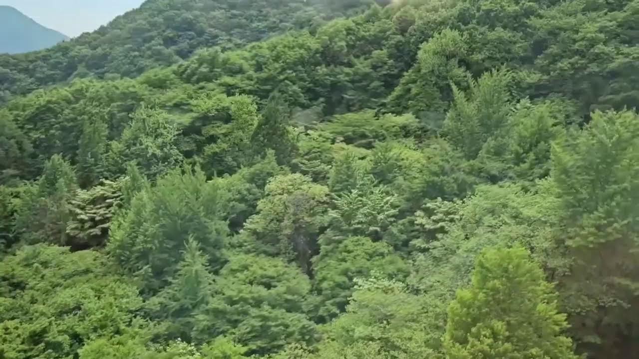 박영기 채널TV님의 라이브 방송 (842회) 7080좋은음악듣고가세요