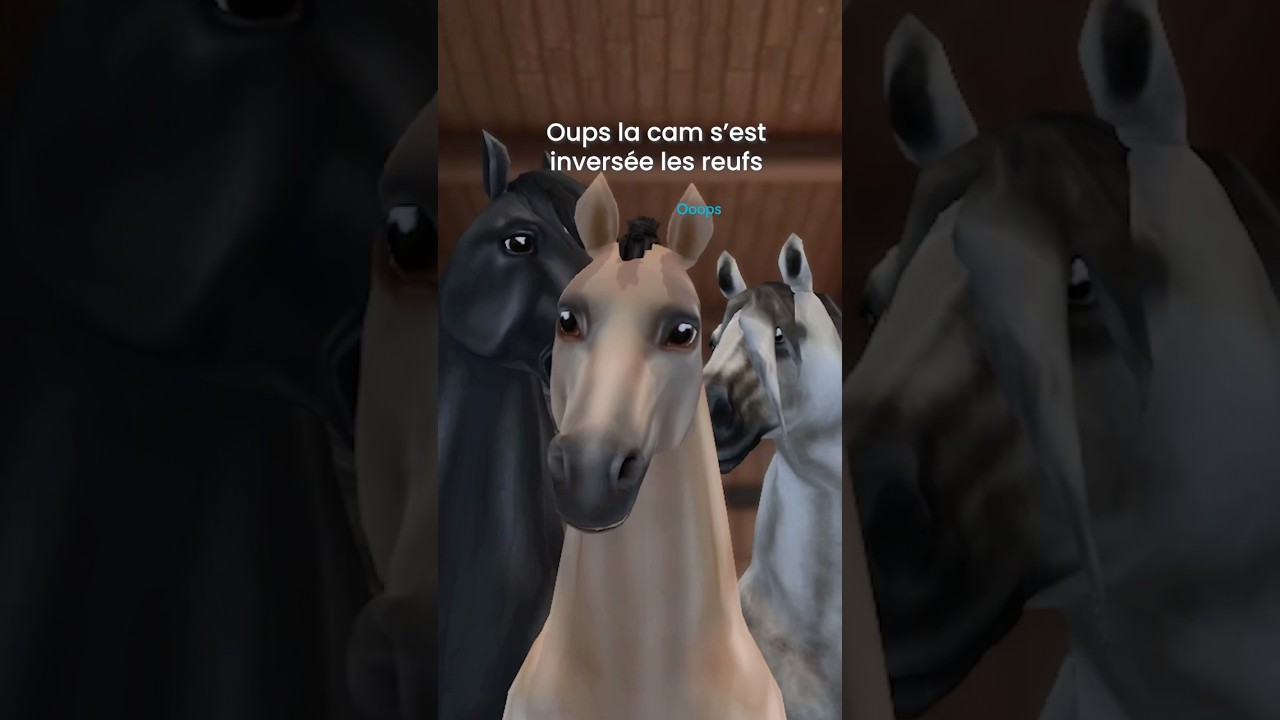 Les VIEUX CHEVAUX se REBELLENT sur SSO 😂 