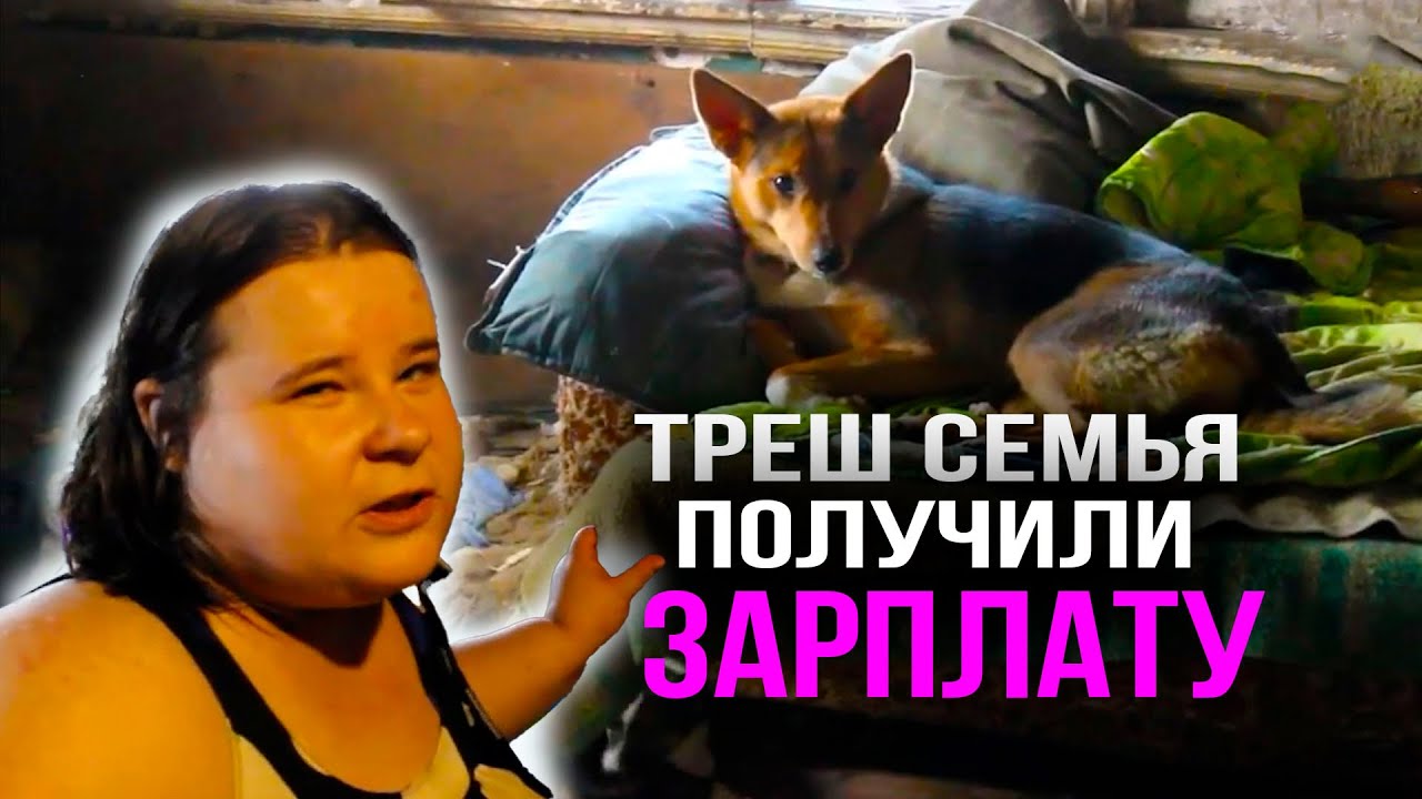 ПОЛУЧИЛ ЗАРПЛАТУ. ВОССТАНАВЛИВАЕМ  ПЕЧКУ. ДОДЕЛАЛИ ВОЛЬЕР