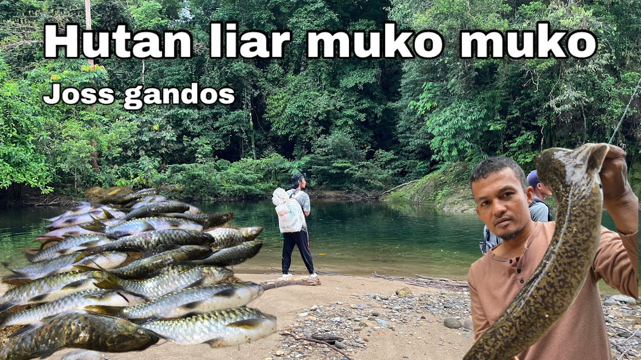 4 Hari 3 Malam Dalam Hutan Bersama @KangAnua! 4 Days 3 Night River Camping and Fishing Adventure