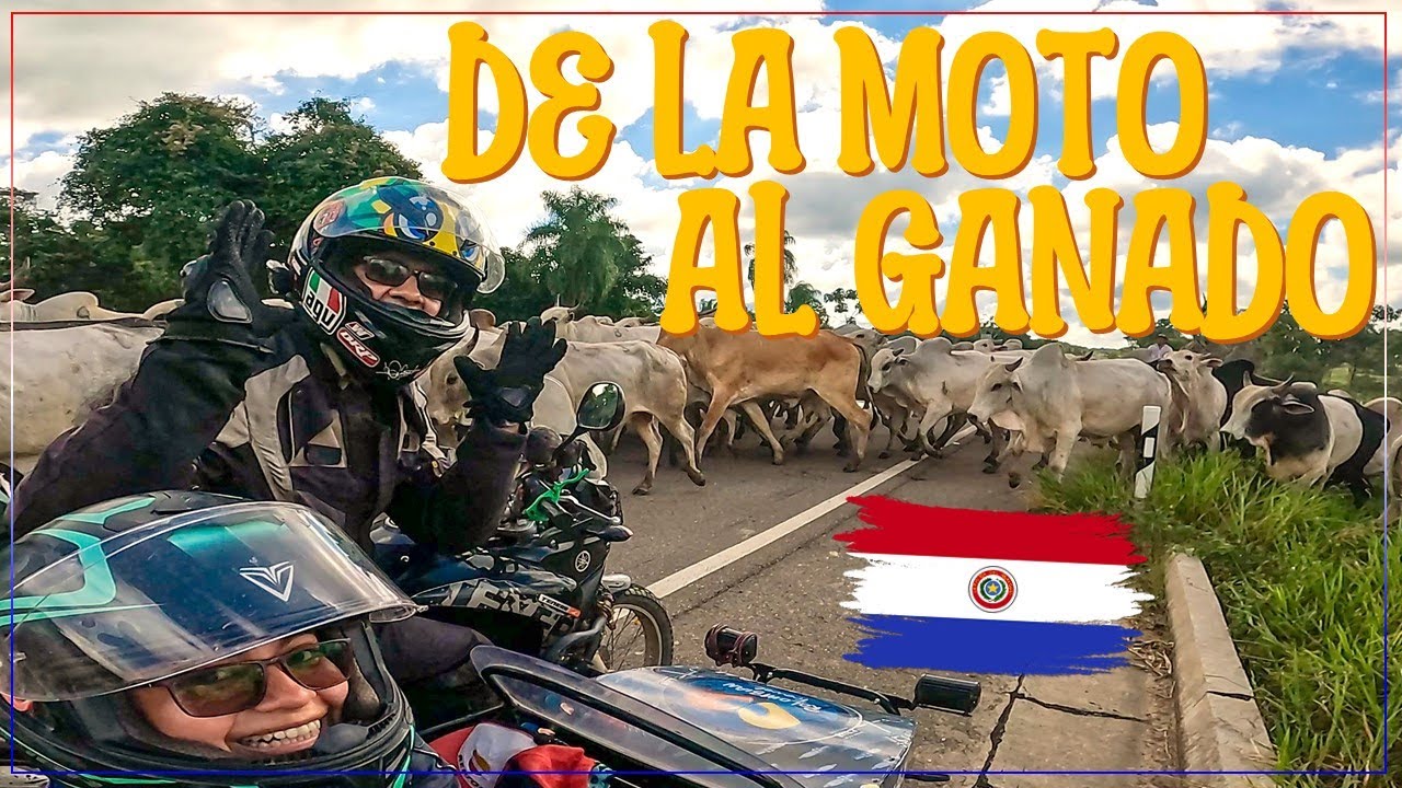🏍️🌎 De MOTOVIAJEROS a GANADEROS 🐮 Nuestra AVENTURA con los MENONITAS en el CHACO PARAGUAYO 🇵🇾 C204