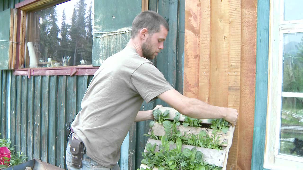 The Curious Gardener Ep 8  Pallet Gardens