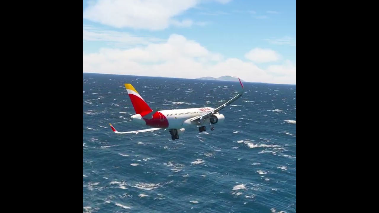 Impossible!!! the plane couldn't land eps 309