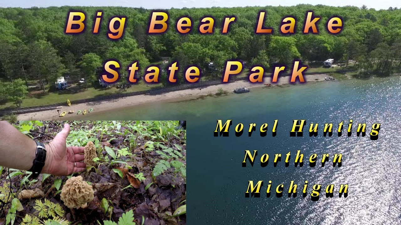 Northern Michigan Camping and Morel Hunting