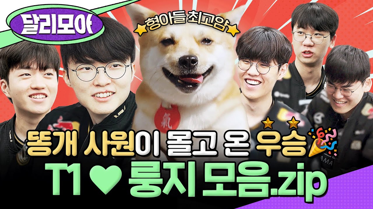 [📁#달리모아] 대상혁과 대룽지의 만남 귀하다...✨ T1의 입사한 똥개 인턴 룽지의 정식 사원이 되기까지.zip #TV동물농장 #페이커 #t1 #룽지 #똥개