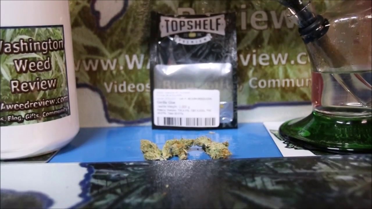 Top Shelf  Gorilla Glue Legal Weed Review 420 Strain Review GOOD BUD!