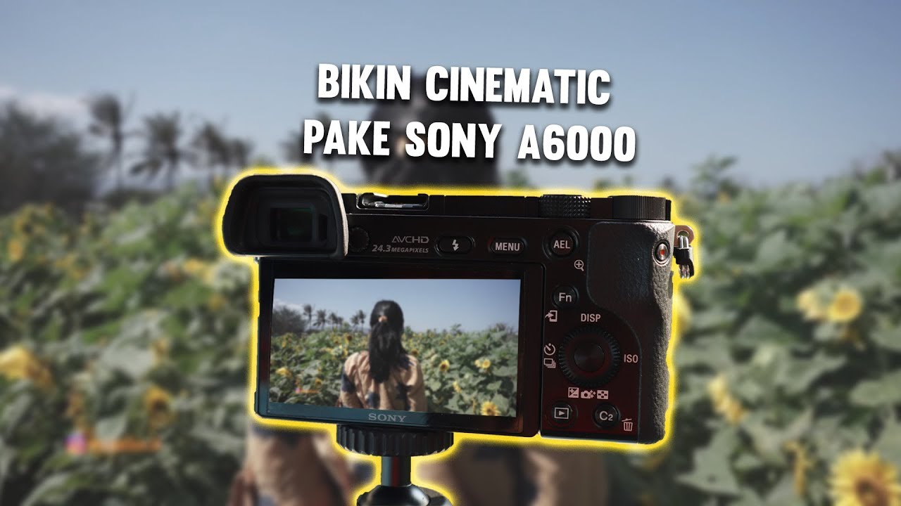 SETTINGAN VIDEO SONY A6000 #sonyalpha6000