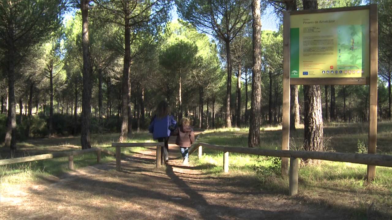 Camping dehesa nueva