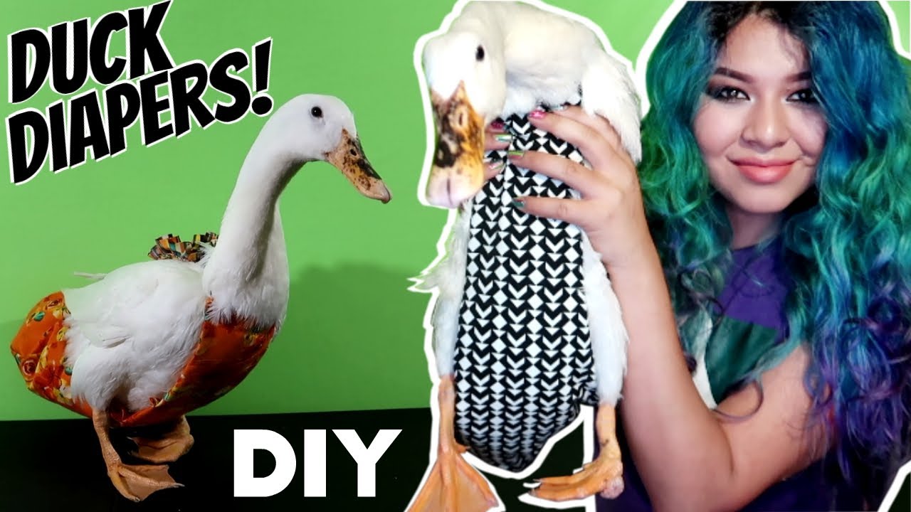 SO I MADE DUCK DIAPERS! (TSABS ep.4)