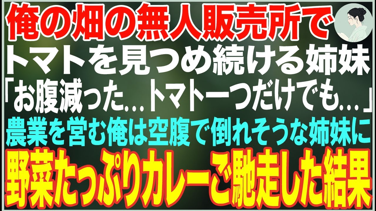 【感動する話】俺の畑の無人販売所でトマトを見つめ続ける姉妹「これ...一つだけなら...」→農業を営む俺はウチに連れて帰り野菜たっぷりカレーをご馳走した結果…【朗読・スカッと・泣ける話】