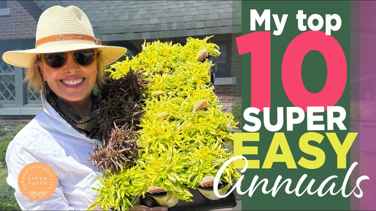 My 10 SUPER EASY ANNUALS For a Spectacular Garden 🌱💐