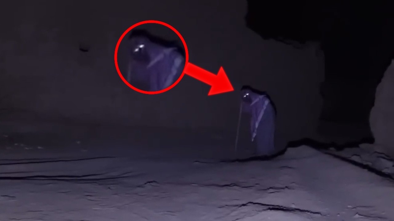 5 Disturbing Jinn Encounters Caught in Arabic Homes
