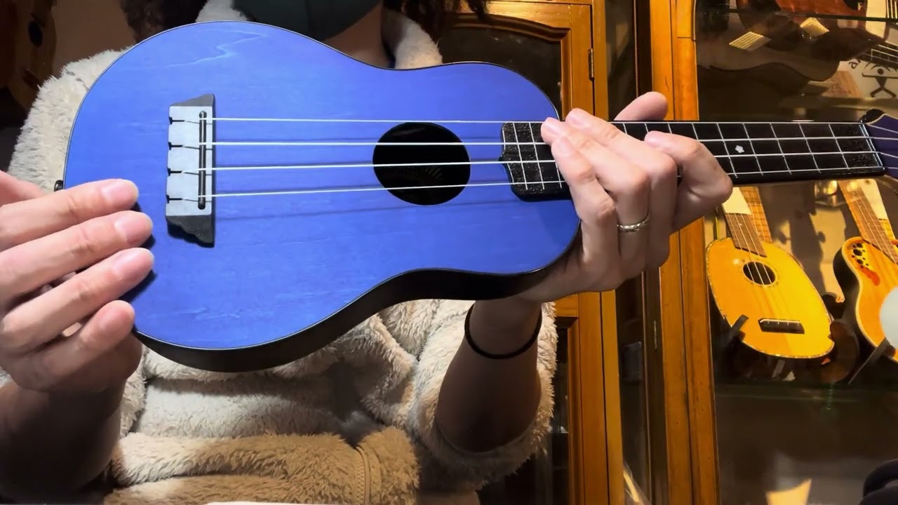 Flight ソプラノウクレレ TUS35 レビュー