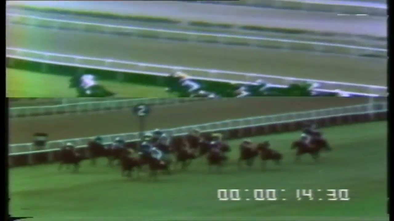 1989 GAZİ KOŞUSU GOLDEN PRINCE - ERTUL CANKILIÇ