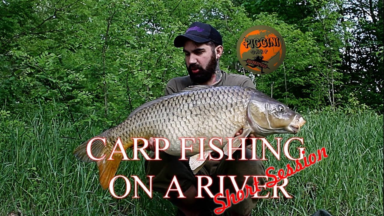 CARP FISHING ON A RIVER -Short session