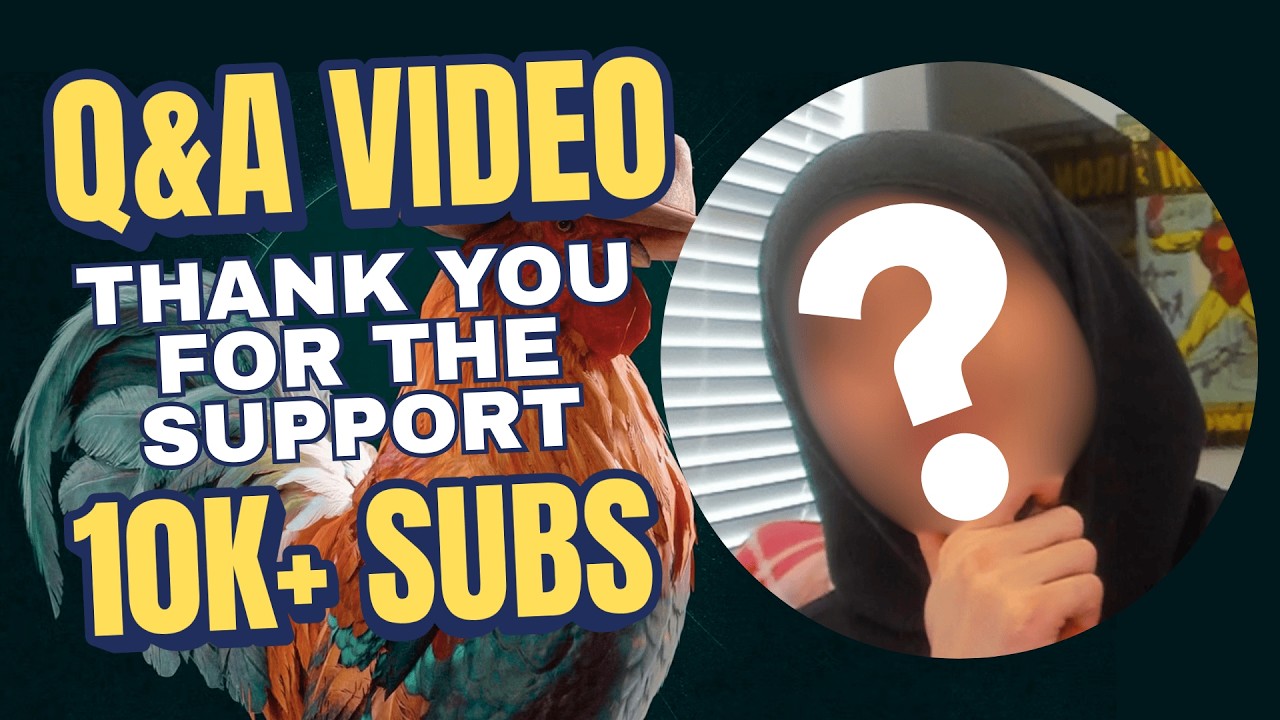 Thank You For 10K+ Subs | Q&A Video | ARC Raiders