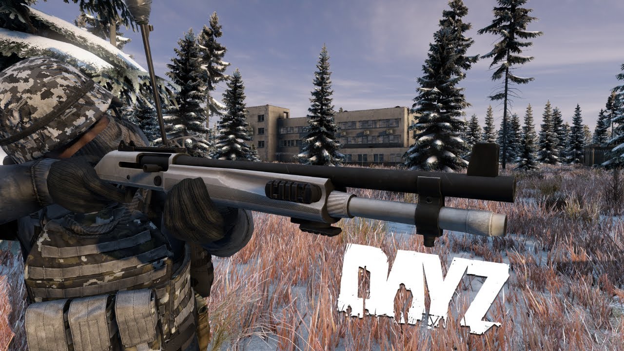 How I Became a LETHAL Winter Survivor in DayZ