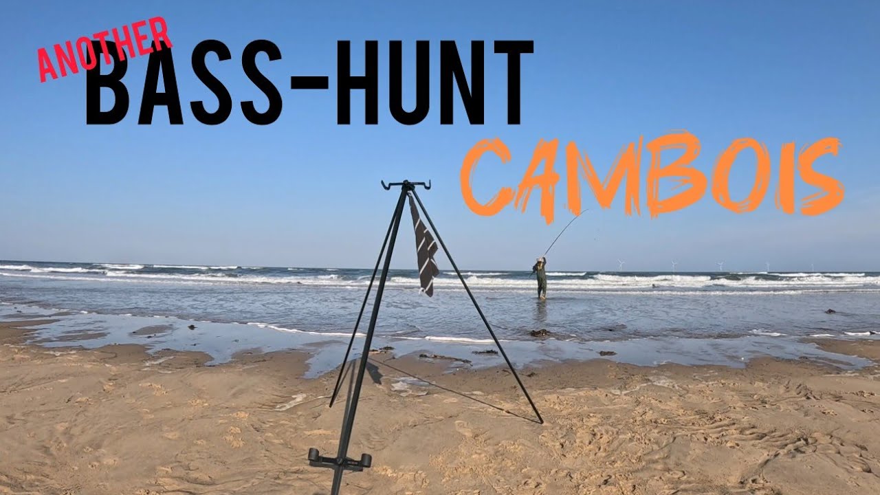 ANOTHER BASS HUNT! | Charltons bar | Northumberland | Shore Fishing | Cambois |