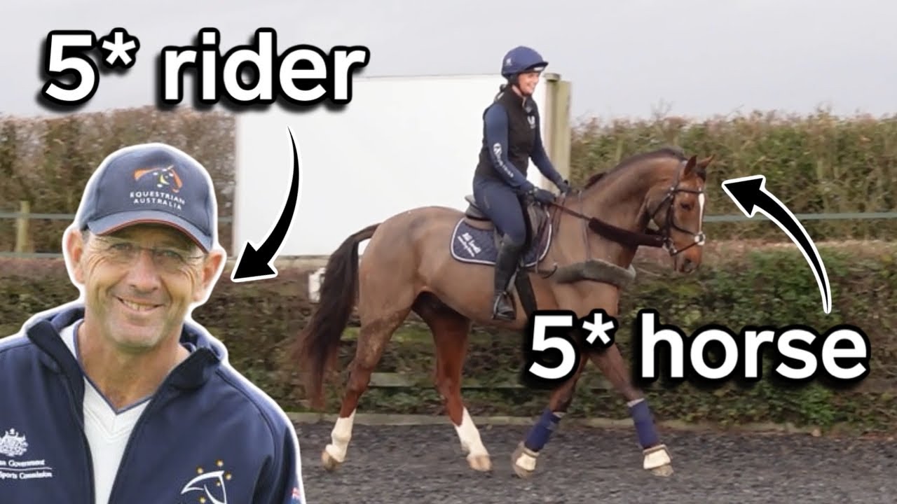 MY FIRST HORSE JOB WITH PROFESSIONAL EVENT RIDER  - Vlogmas #4