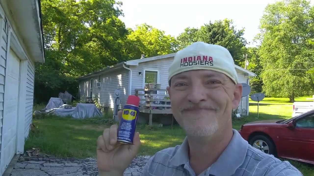 КАК УБИТЬ ОС И ШЕРШНЕЙ С ПОМОЩЬЮ WD-40! #борьбасвредителями #оса #оса #шершень #шершни #пчелы #ла...