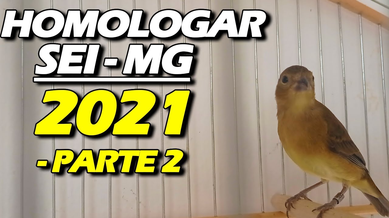 Homologação SEI-MG parte 2 CADASTRO IBAMA-SIPASS GRÁTIS