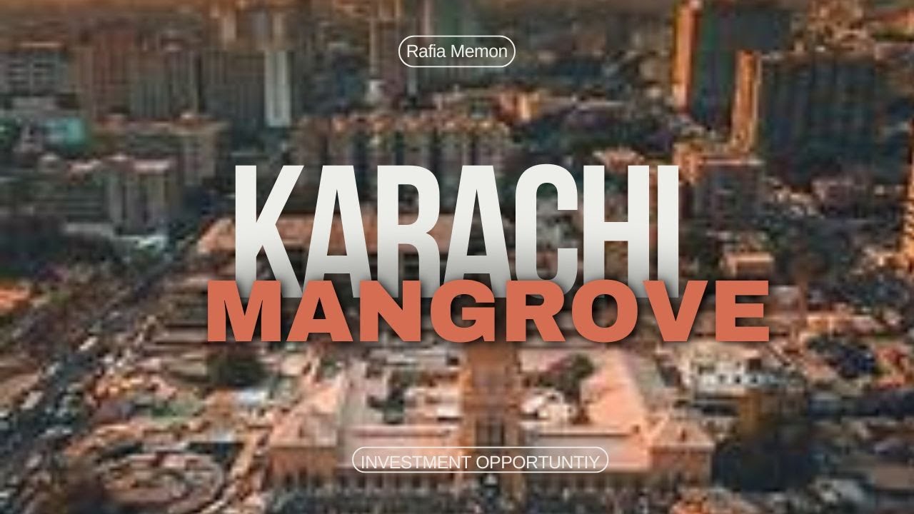 What I found: Project Mangroves in Korangi