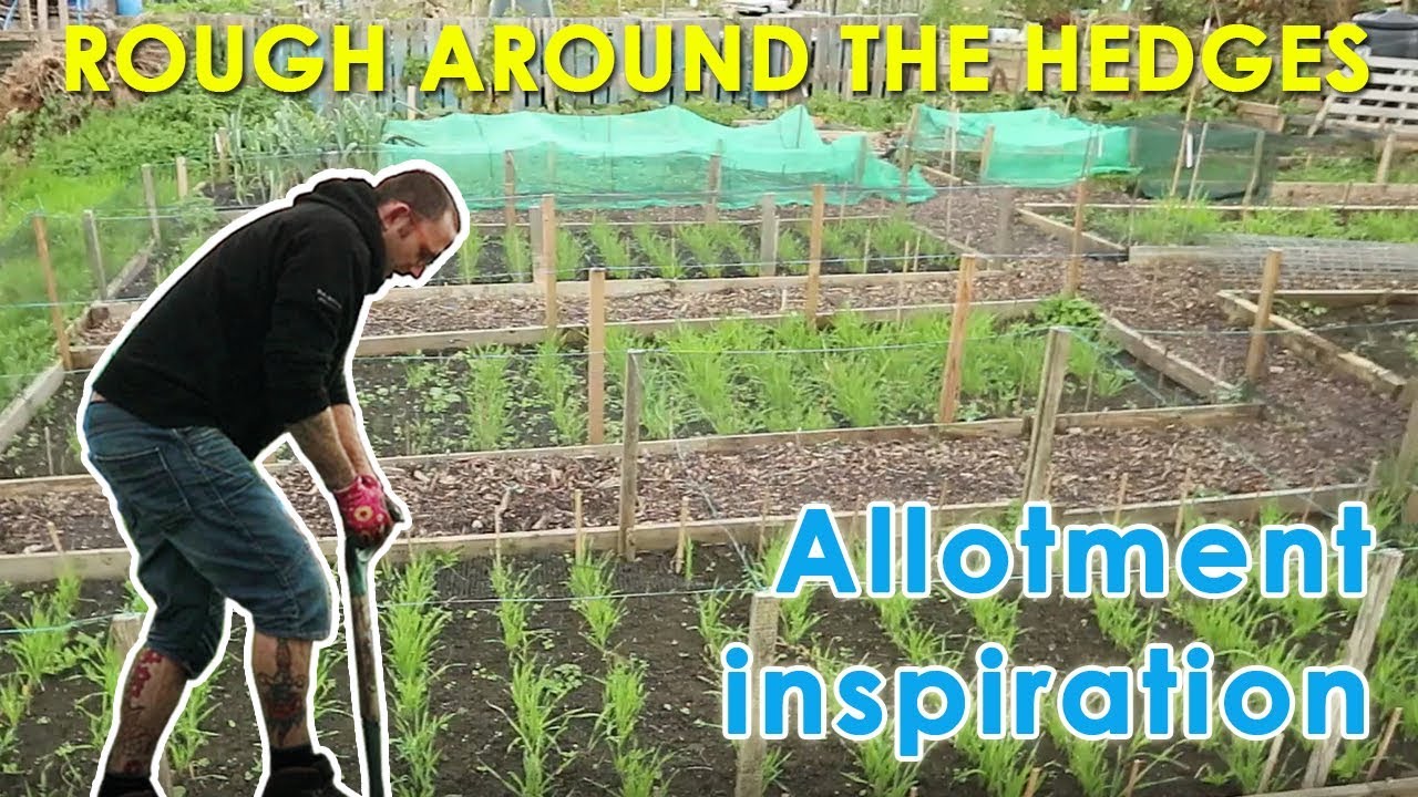 Allotment inspiration - learning from other allotment holders