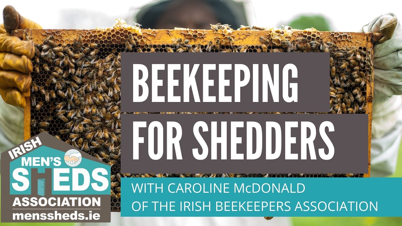 Beekeeping for Shedders with Caroline McDonald of the Irish Beekeepers Association