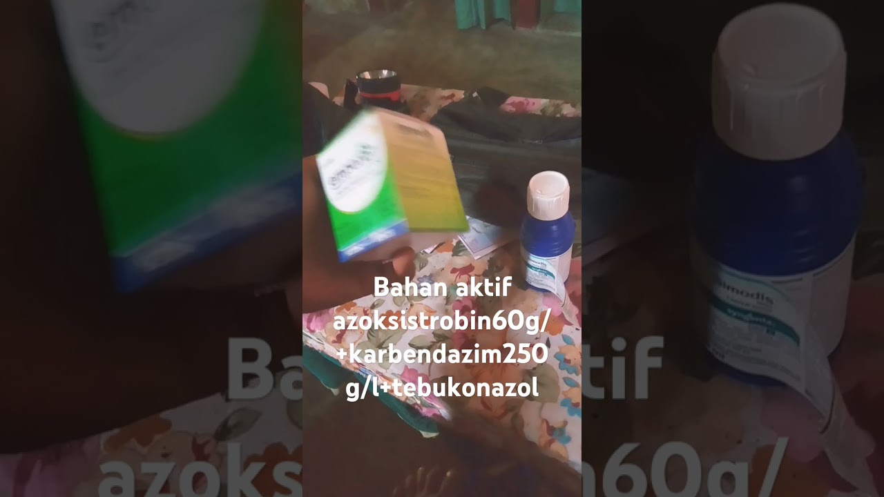 manfaat pungsida emperor 475sC serta rolingan hama trip dan ulat2