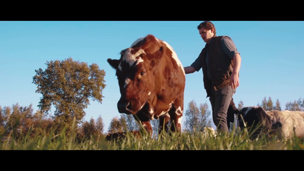 Slagerij Wout van de Veen | Moodfilm