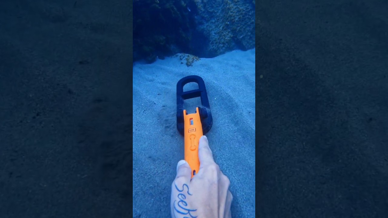 Quest Scuba Tector Pro ricerca in Mare #metaldetector #metaldetecting #quest