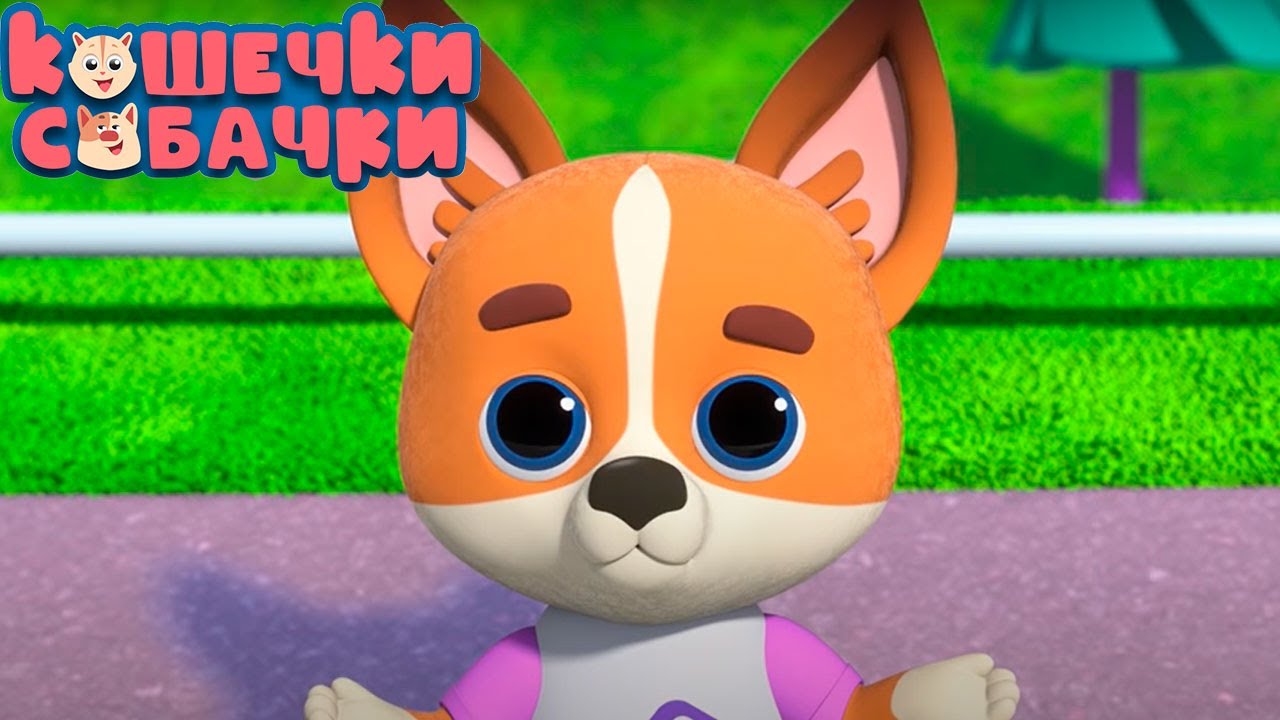 КОШЕЧКИ-СОБАЧК &mdash; Яма &mdash; Серия 5