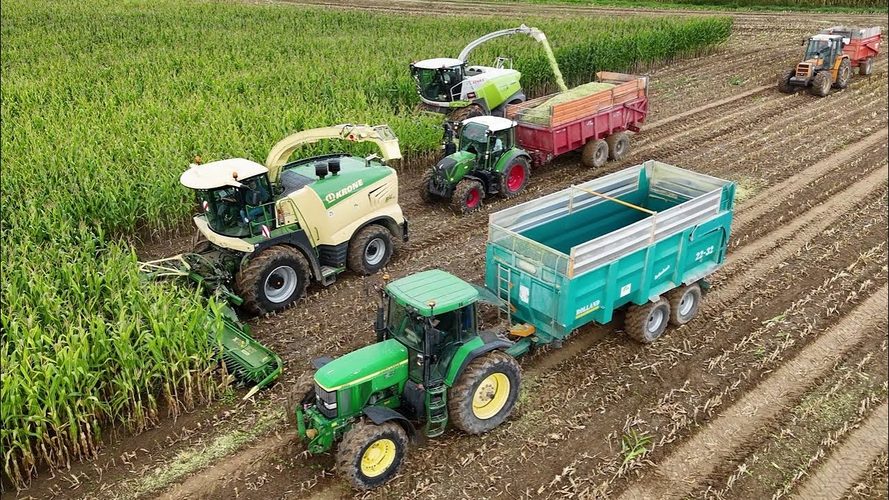 Ensilage de maïs avec 3 ensileuses dans la même parcelle | 30 rangs en 1 seul passage !