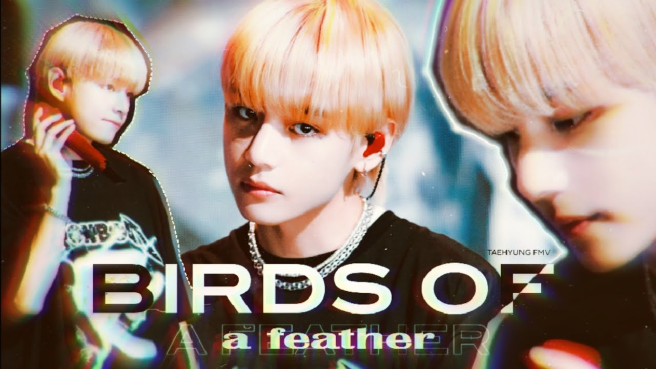 ⊹ BIRDS OF A FEATHER - V/TAEHYUNG FMV.