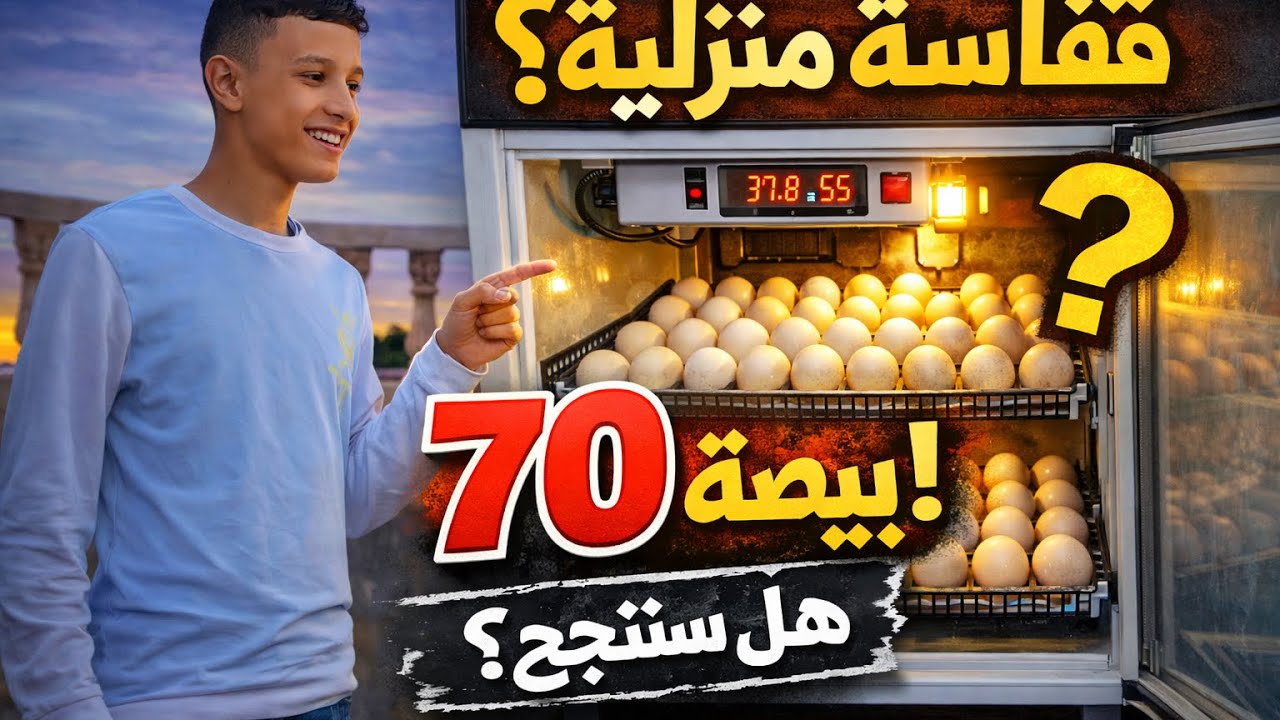 تجربتي الأولى في صناعة فقاسة بيض 🐣 | من الصفر الى الفقس 👌🪶/اول فيديو على القناة 🥳🐣🫶