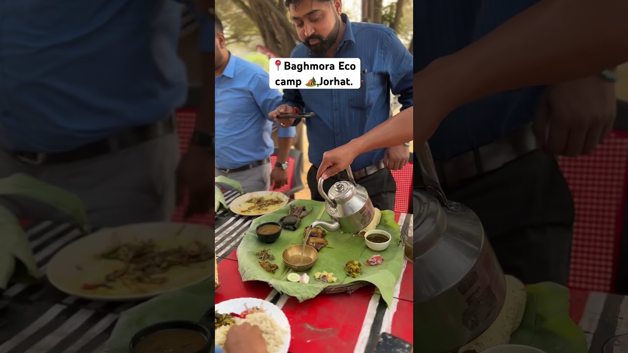 Welcome to Baghmora Eco camp 🏕️.