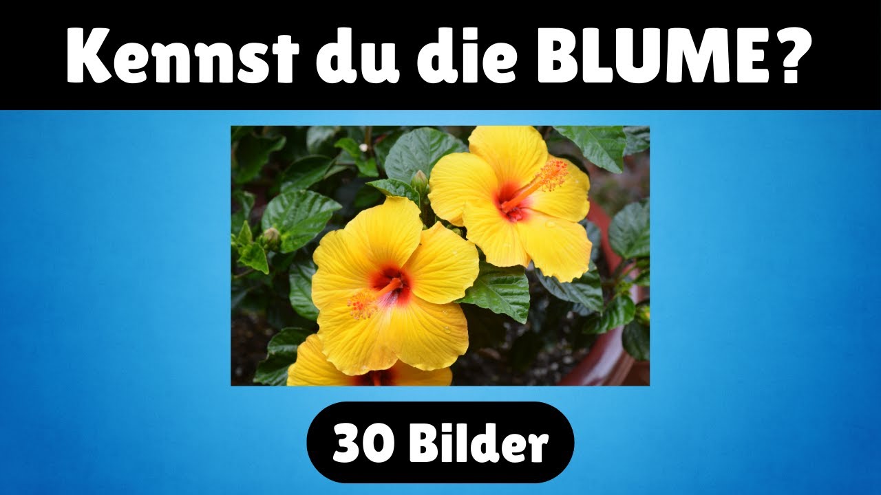 Nur echte Pflanzen-Profis erkennen alle 30 Blumen! 🌸🌼 | Blumenquiz Teil 2 &ndash; Schwerere Version!