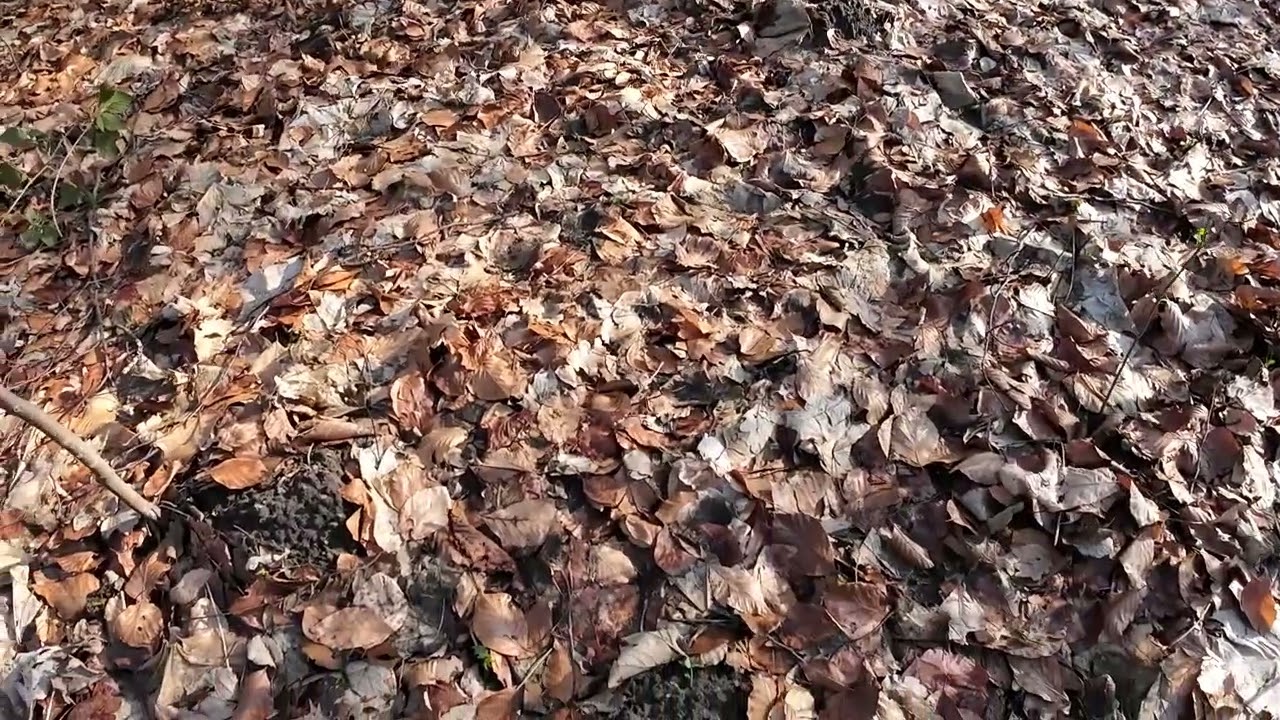 Жизнь в Гамбурге, новости трудоустройства  Гамбург, работа, адаптация